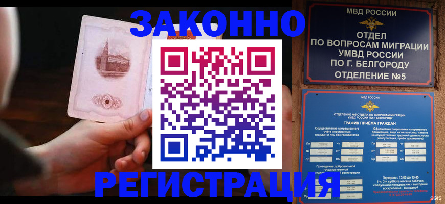 прописка 2025 в Щучье